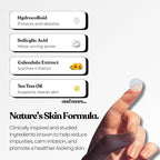 The Patch Collection® - Hydrocolloid Acne Spot Pimple Patch - Invisible Spot Remover Treatment Stickers for Face & Body, Vegan & Cruelty-Free (Pack of 72)