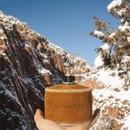 Fire-Maple FMS-300T Ultralight Titanium Backpacking Camping Gas Stove | 2600W Pocket Backpacking Cooking Folding Burner | Outdoor Trekking Hiking Fishing (Black)