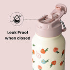 BOTTLE BOTTLE 32oz Insulated Water Bottle Stainless Steel Sport Water Bottle with Straw Dual-use Lid Design for Gym with Pill Box