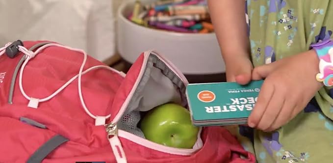 Disaster Deck - Emergency Disaster Survival Cards - Waterproof Pocket Guide for Bug Out Bag Kit