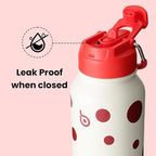 BOTTLE BOTTLE 32oz Insulated Water Bottle Stainless Steel Sport Water Bottle with Straw Dual-use Lid Design for Gym with Pill Box