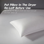 Globon Luxury Down Pillow Queen Size, Firm Hotel Collection Bed Pillow with 100% Cotton Cover, Down Surrounded Feather Pillow, 20x30 Inches (1 Pack)