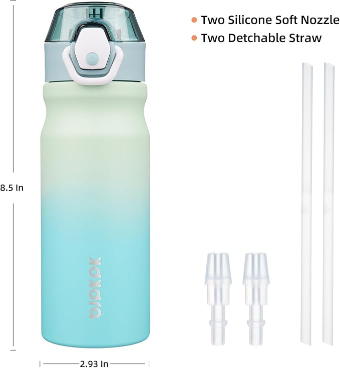 BJPKPK Insulated Water Bottle 18oz Stainless Steel Water Bottles With Straw And Carry Handle Double Wall Metal Thermo,Mint