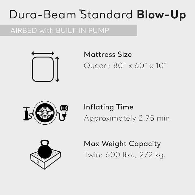 INTEX Dura-Beam Standard Pillow Rest Air Mattress: Fiber-Tech