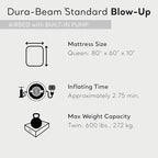 INTEX Dura-Beam Standard Pillow Rest Air Mattress: Fiber-Tech