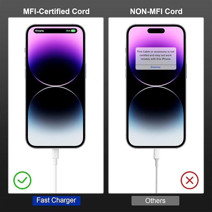 2 Pack for Apple iPhone 14 Fast Charger Cable 10ft [Apple MFi Certified], USB Type C to Lightning Cable 10 Foot Apple iPhone Charging Cord for Apple iPhone 13 12 11 Pro XR XS Plus