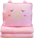 Fruit Throw Blanket and Pillow Set, Travel Blanket Compact Convenient Bed Throw Pillows with Airplane and Car Suitable for Office Nap Time (B, 39in x 31in)