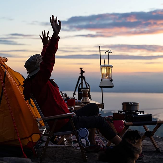 Mesqool Camping Lantern Rechargeable Battery 6000mAh, 650LM LED Lanterns for Power Outages Emergency Hurricane, Solar Hand Crank Lantern for 200 Hours