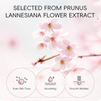 Skin Care Set Sakura Women Beauty Gift Sets Korean Skin Care Kit- Cleanser,Serum,Face Cream,Toner,Eye Cream,Mud Mask-Skin Care Routine Kit (One Size, Cherry Blossom-StyleB-Luxury Moisturizing)