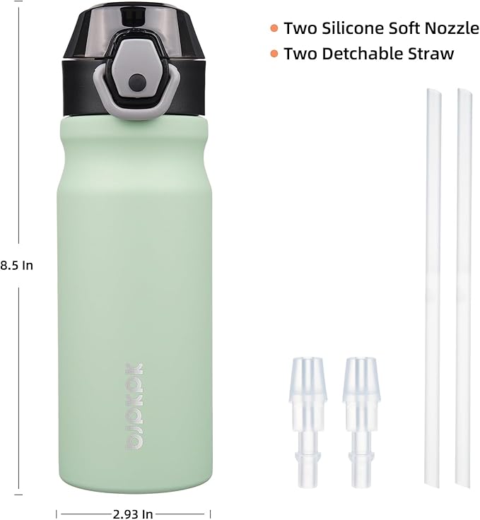 BJPKPK Stainless Steel Insulated Water Bottle With Straw Lid 18oz Reusable Metal Thermo Bottles Keep Cold And Hot,Sage