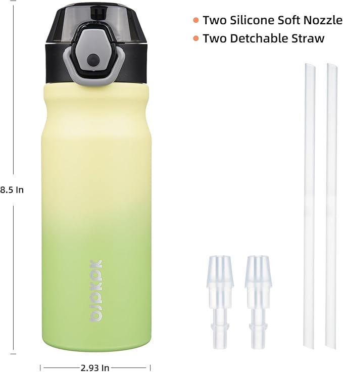 BJPKPK Insulated Water Bottle 18oz Stainless Steel Water Bottles With Straw And Carry Handle Double Wall Metal Thermo,Lime