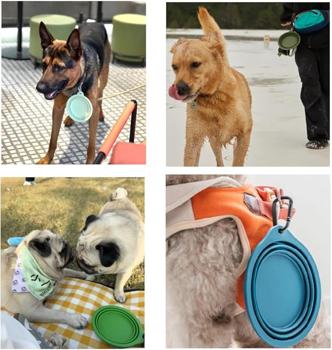 Collapsible Travel Pet Bowl with Carabiner for Dogs and Cats, Portable Silicone Pet Bowl for Waking, Hiking and Traveling (Neon Green)