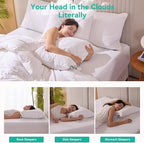 Three Geese White Goose Feather Down Pillows Queen Size Set of 1-100% Cotton, Medium Firm,Soft Support