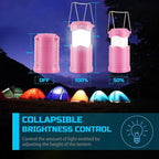 Lichamp LED Camping Lantern, 4 Pack Battery Powered Flashlight for Power Outages, Portable Collapsible Hanging Light Essential for Home, Outdoor, Emergency Lamp Survival Kit Gear for Hurricane, C1