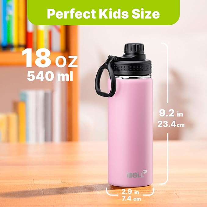 Water Bottle with Spout Lid-18 oz Stainless Steel Vacuum Insulated Wide Mouth Sports Flask-Reusable Metal Leak Proof Travel Water Bottle for Girls, BPA-Free(Purple Pink)