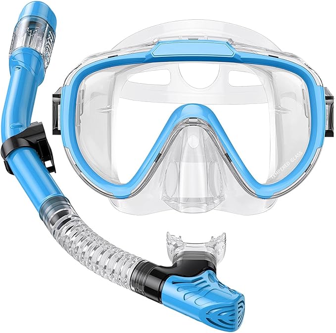 Snorkel Set Adults Snorkeling Gear Anti-Fog Panoramic View Swim Mask Dry Top Snorkel Kit with Carry Bag for Snorkeling Scuba Diving Swimming Travel