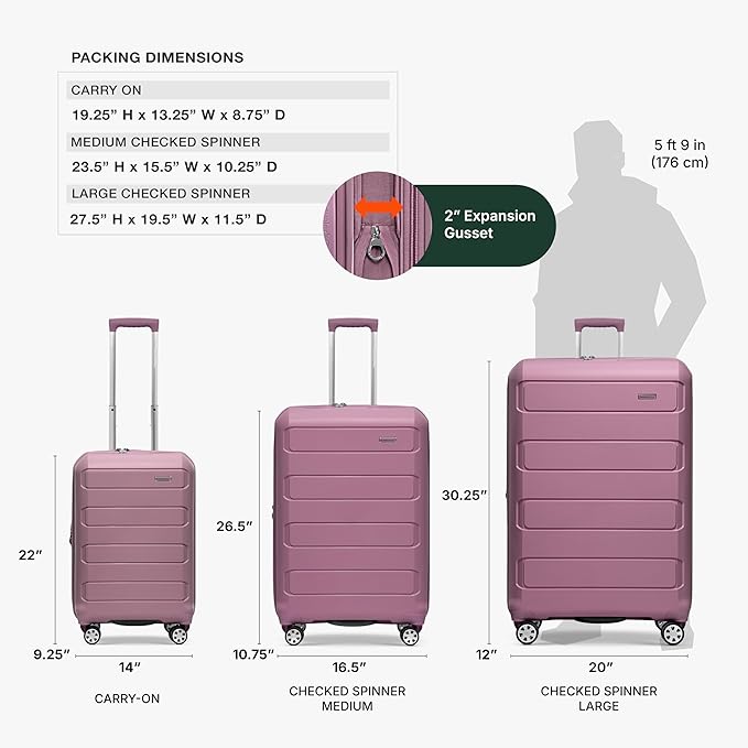 Traveler's Choice Pagosa Hardshell Expandable Luggage with Spinner Wheels, Mauve, 3-Piece Set (22/26/30)