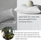 Globon Luxury Down Pillows Queen Size Set of 2 for Side Sleepers, 100% Cotton Shell Hotel Collection Bed Pillow for Sleeping, Firm Down Surrounded Feather Pillow 20" x 30"