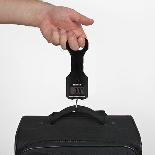 TEHAUX 30kg Portable Electronic Hanging Scale Handheld Digital Weight Scale with Hook for Fishing Luggage Travel Accessories