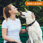 12KN Heavy Duty Carabiner Clips - Favofit 3.2'' Small Carbineers for Hiking Camping Hammocks Keys Keychains Dog Leashes - Ideal for Outdoor Enthusiasts