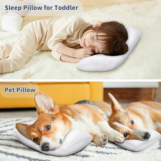 Pro Goleem Small Pillow 11’’x6’’x2.5’’ for Kids and Baby Sleeping with Name Tag Mini Tiny Pillow for Camping and Chair Car Air Nap Neck Lumbar Knee Rest Pillows, White