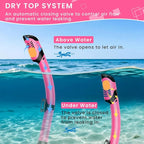 Snorkeling Gear for Adults, Adult Snorkel Mask Set Scuba Diving Dry-Top, Swimming Goggles w/Nose Cover, HD Tempered Glass Panoramic Anti-Leak Anti-Fog, Travel Snorkeling Packages Storage Bag, 2 Pack