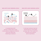 TONYMOLY Wonder Ceramide Mochi Milky Toner – 5,000 ppb Ceramide Barrier Repair Toner for Dry & Sensitive Skin – Hydrating Korean Glass Skin Essence, 16.9 fl oz / 500ml Value Size