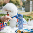 BOTTLE BOTTLE Insulated Water Bottle 24oz with Straw Lid and Handle for Sports Travel Gym Stainless Steel Water Bottles Double-Wall Vacuum Metal Leak Proof BPA-Free