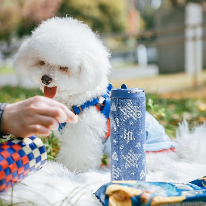 BOTTLE BOTTLE Insulated Water Bottle 24oz with Straw Lid and Handle for Sports Travel Gym Stainless Steel Water Bottles Double-Wall Vacuum Metal Leak Proof BPA-Free