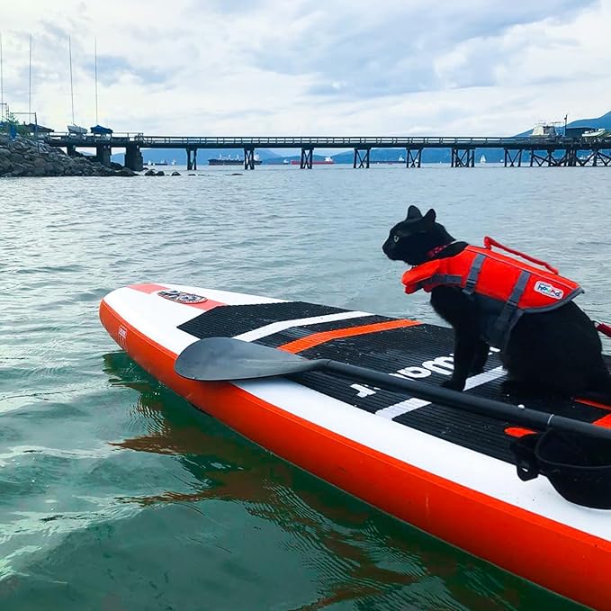 FunWater Inflatable Stand Up Paddle Board with Premium SUP Paddleboard Accessories, Anti-Slip EVA Deck, 11'/10'6'' Paddle Boards for Adults & Youth of All Skill Levels