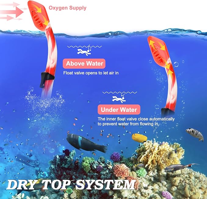 Kids Snorkel Set Dry Top Snorkeling Gear for Kids Youth Boys Girls Junior Age 5-15,Tempered Glass Swimming Diving Mask and Snorkel Set 180 Degree Panoramic View
