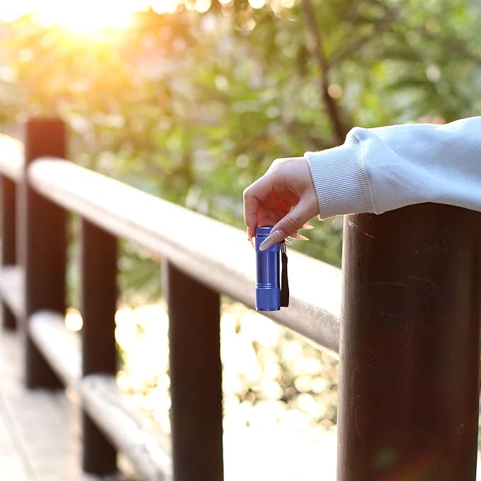 FASTPRO 30-Pack Flashlights Set, Aluminum 6-LED Flashlights Include AAA Batteries & Lanyard, for Party Favors, Camping, Hurricane Supplies