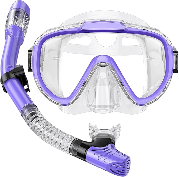 Snorkel Set Adults Snorkeling Gear Anti-Fog Panoramic View Swim Mask Dry Top Snorkel Kit with Carry Bag for Snorkeling Scuba Diving Swimming Travel