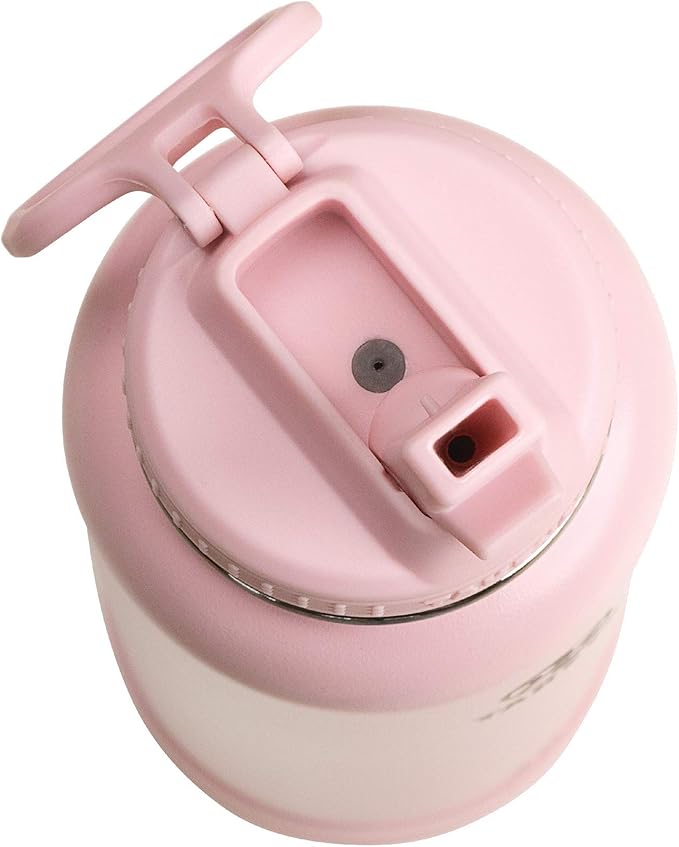 Takeya Actives 24 oz Water Bottle with Straw Lid - Double Wall Stainless Steel Insulation - Dishwasher Safe & BPA-Free - Removable Bumper - Blush