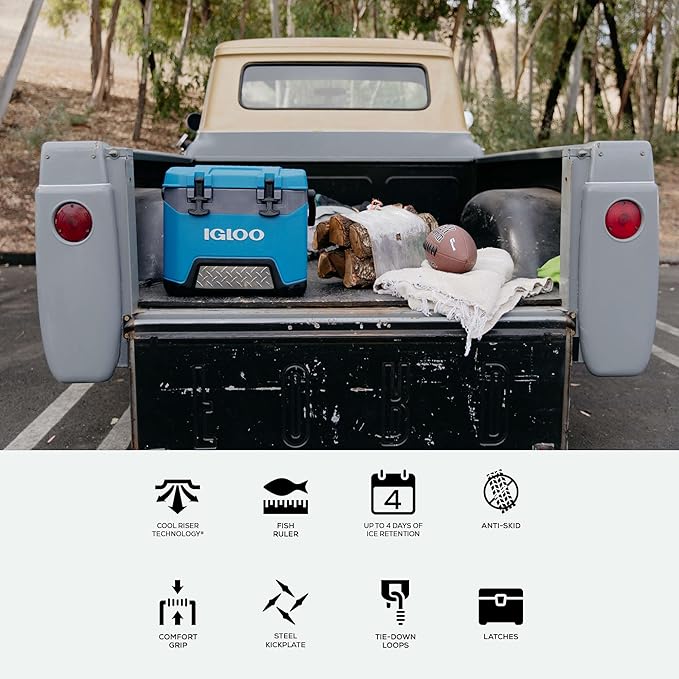 Igloo BMX Hard Coolers (25-72QT)