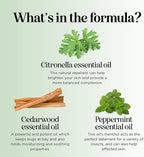 Natural Roll on Bug Repellent Stick - DEET Free Insect Repellent Stick for Kids & Adults for Ticks & Mosquitoes - Made with Citronella Rosemary & Lemongrass - Light Scent Vegan Cruelty Free (3 Pack)