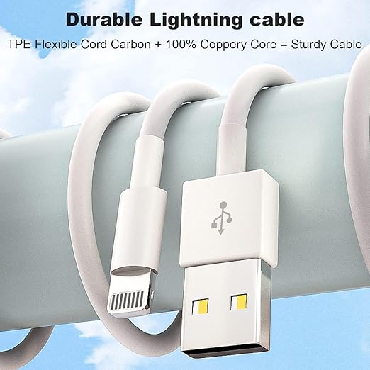 iPad Charger, 2Pack [Apple MFi Certified] 10FT Long USB A to Lightning Cord Cable with USB Wall Charger Travel Plug Foldable Portable Adapter Compatible with iPad, iPadAir, iPadMini, iPadPro, iPhone