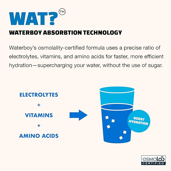 Waterboy Daily Hydration | 1,570mg Electrolyte Powder Packets | No Sugar, All Natural, Gluten Free, Zero Calories | 15 Drink Stick Mixes (Watermelon)