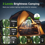 20000mAh Camping Fan with LED Lantern, 360° Oscillation, Remote Control, 4 Speed & Timer, Rechargeable Battery Powered Fan for Tent, Outdoor, Travel, Hurricane, Emergency, Power Outage (Green)