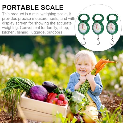 ibasenice 4pcs Portable Plastic Spring Scale Luggage and Fish Hanging Weighing Scales with Hooks for Household and Travel Use Random Color
