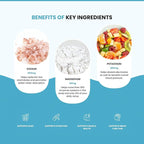 LIDO Lemonade Electrolyte Powder Packets — Clean, Zero-Sugar Hydration Drink Mix with Balanced Sodium for Fast Replenishment — Vegan, Paleo & Fasting Friendly — 28 Sticks