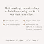 Saatva Latex Pillow - High Loft (6" - 7”) - Hypoallergenic Pillow with Shredded Latex Core - Breathable - Machine Washable Organic Cotton Cover - Queen (28"x18") 1 Pack