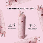 BOTTLE BOTTLE Insulated Water Bottle 24oz with Straw Lid and Handle for Sports Travel Gym Stainless Steel Water Bottles Double-Wall Vacuum Metal Leak Proof BPA-Free