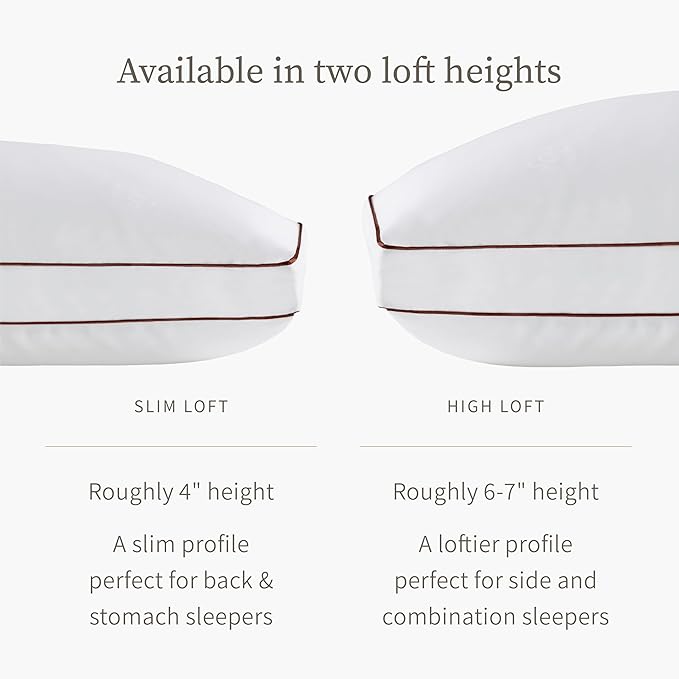 Saatva Latex Pillow - High Loft (6" - 7”) - Hypoallergenic Pillow with Shredded Latex Core - Breathable - Machine Washable Organic Cotton Cover - Queen (28"x18") 1 Pack