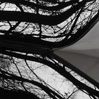 Sleeping Bags for Adults and Kids，3D Printing Camping Sleeping Bag for Girls Boys Lightweight Waterproof Cold/Warm 3-Season，Outdoor Travel with Compression Bags