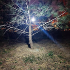 Solar Camping Lamp LED Tent Lights Waterproof Remote Control 4000mah 5 Mode USB Rechargeable Portable Lantern Blub Hanging for Home Indoor Outdoor Emergency Courtyard Power Outage 3 Pack