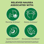 from The Makers of Dramamine, Advanced Herbals, Ginger Chews, Nausea Relief Soft Chews Lemon-Honey-Ginger, 40 Count