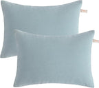 BEDSUM 2 Pack Pillows, 13"x18" Microfiber Pillows for Travel, Pets, Soft and Machine Washable Small Pillows for Neck, Wrist, and Knee Comfort, Sea Green