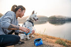 Ruffwear, Quencher Collapsible Dog Bowl, Packable Food & Water Bowl with Waterproof Lining, Water-Resistant Shell, & Reflective Trim, Lightweight, 4.2 Cups (1 L), Moonlight Mountains, Medium