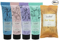 Travel Well Flower Series Mini Hotel Toiletries - Individually Wrapped Guest Bathroom Amenities in Bulk - Shampoo & Conditioner Minis Bulk - Body Wash & Lotion Sets - 60 Sets, 15 ml & 21 g Bars